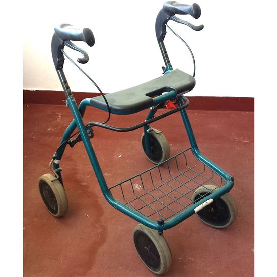 Andarilho Anterior Human Care