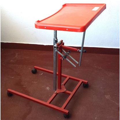 Standing Frame Pediátrico C/ Tabuleiro